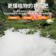 Urea nitrogen fertilizer for growing flowers, vegetables, fruit trees, green plants, household potted fields, general-purpose compound fertilizer, large package of chemical fertilizer, total nitrogen 46% 40Jin Jin is equal to 0.5 kg