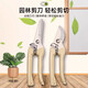 Stainless steel branch pruning shears for picking fruits and flowers, garden fruit trees, flower branches, grafting, gardening scissors tools, straight head fruit picking shears, long-term fruit picking without tired hands