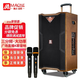 MALONE outdoor square dance audio high-power heavy bass live broadcast singing karaoke performance with Bluetooth sound card wireless microphone portable trolley speaker 10-inch audio + 18.5-inch karaoke machine 500G official standard configuration