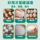 Egg Duoduo chickens, ducks, geese, general egg-laying treasure, egg-stimulating device to improve egg quality, special feed additive for those who cannot lay eggs in cold weather, 2 bags, specially designed to cure those who cannot lay eggs in cold weather.