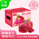 Jingxiansheng Guangxi Red Heart Pitaya Gift Box Style, net weight 9Jin Jin is equal to 0.5kg, single fruit starting from 400g, fresh fruit delivered directly from the source