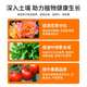 Urea nitrogen fertilizer for growing flowers, vegetables, fruit trees, green plants, household potted fields, general-purpose compound fertilizer, large package of chemical fertilizer, total nitrogen 46% 40Jin Jin is equal to 0.5 kg