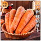 Dongdong Maicai, freshly dug carrots from the origin, high-quality small fruit hot pot ingredients JD.com, Henan fresh carrots 2Jin Jin is equal to 0.5kg, net weight (1.9Jin Jin is equal to 0.5kg)