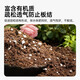 Worthlin universal nutrient soil flower soil large bag organic vegetable and flower cultivation soil green radish peat soil 10Jin Jin is equal to 0.5kg refined nutrient soil