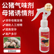 Yanmeng Boar Love Attractant Odorant Sow Special Pig Love Attractant Stimulates Sow Love Attractant Breeding Pig Breeding Odorant 100ml (Mainly Recommended)
