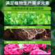 Or garden nutrient soil flower cultivation universal flower soil flower planting soil peat soil potting special soil nursery matrix 10 liters