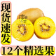 Chunguo Yimu Yellow Heart Kiwi Golden Kiwi Golden Kiwi Fresh Fruit Fresh Fruit 12 Selected Fruit Single Fruit 70-110g