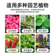 Urea Flower Fertilizer Nitrogen 46% Planting Flowers and Vegetables Potted Organic Fertilizer Nitrogen Fertilizer General Agricultural Landscaping Urea 20Jin Jin equals 0.5 kg Total Nitrogen 46%