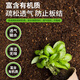Or garden nutrient soil flower cultivation universal flower soil flower planting soil peat soil potting special soil nursery matrix 10 liters