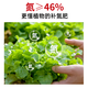 Urea Flower Fertilizer Nitrogen 46% Planting Flowers and Vegetables Potted Organic Fertilizer Nitrogen Fertilizer General Agricultural Landscaping Urea 20Jin Jin equals 0.5 kg Total Nitrogen 46%