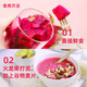 Jingxiansheng Guangxi Red Heart Pitaya Gift Box Style, net weight 9Jin Jin is equal to 0.5kg, single fruit starting from 400g, fresh fruit delivered directly from the source