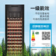 Vinocave wine cabinet, constant temperature wine cabinet, balanced moisturizing, air-cooled, frost-free refrigerator, home living room, wine refrigeration, office display cabinet, multi-functional ice bar, ultra-thin model, constant temperature and moisturizing, new design of blind window, first-class energy efficiency, 255L wine cabinet