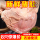 Fresh quick-frozen pork belly, whole, no-wash, oil-removed, pig belly, viscera, raw pork belly, 6 cold chain, fresh pork belly, 2 pack, try it out