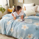 Antarctic Thin Blanket Milk Velvet Blanket Nap Blanket Coral Velvet Blanket Single 150*200cm Towel Sofa Blanket