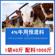 Sino-US Puke 4% cattle special premix calf fattening beef cattle feed pregnancy pregnant lactating cow breeding cow premix 4% calf premix 40Jin Jin is equal to 0.5 kg