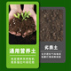 Or garden nutrient soil flower cultivation universal flower soil flower planting soil peat soil potting special soil nursery matrix 10 liters