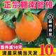 江满鲜江西正宗赣南脐橙现摘特大果当季新鲜水果手剥甜橙子整箱 10斤 小果（100g起）