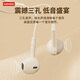 Lenovo wired headphones HIFI sound quality high-resolution audio with microphone noise reduction live broadcast karaoke singing music sports semi-in-ear gaming computer headphones type-c YF01 white