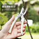 Stainless steel branch pruning shears for picking fruits and flowers, garden fruit trees, flower branches, grafting, gardening scissors tools, straight head fruit picking shears, long-term fruit picking without tired hands