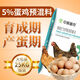 5. Laying hen premix, special feed concentrate for laying hens, trace element feed additives during peak egg production period, 5. Meat chicken premix 25kg