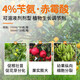 4% benzylaminopurine gibberellic acid cytokinin blasting budding, flowering, flower enlargement and fruit regulator 500g
