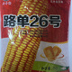 Ludan No. 26 Short Stem - High-yielding corn seeds, field corn hybrid seeds that are resistant to lodging, disease, and rot. Ludan No. 26 short stem - High-yielding corn seeds, field corn seeds that are resistant to lodging, disease, and rot.