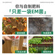 Em compost fermentation bacteria vat organic material decomposed compost bacteria fermentation kitchen waste farmyard manure starter EM compost fermentation bacteria 5Jin Jin is equal to 0.5kg 1 barrel