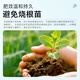 Wangtianwang soybean meal organic fertilizer, compound biological fermentation decomposition powder, agricultural vegetable and fruit tree medicinal material base fertilizer, general fertilizer