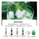 麦其克调酒基酒套装 鸡尾酒基酒 威士忌龙舌兰白兰地伏特加朗姆原瓶进口 绿蚱蜢鸡尾酒套装 700mL 4瓶