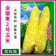 Академия сельскохозяйственных наук Ванюаньсин Суперсладкая золотая и серебряная грудь № 2 Семена кукурузы Четыре сезона Высокая урожайность Очень крупные фрукты Семена сладкой кукурузы Guangliangtian № 27 Сладкая кукуруза Оригинальная 400 г Очень сладкая большая палочка Высокая урожайность
