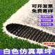 White artificial lawn carpet, ski resort landscaping decoration, outdoor football field paving, artificial plastic fake turf, 2.5 cm white, high-end special density, export quality, 2 meters wide*3 meters long