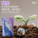 Shidijia Nitrogen Phosphorus Fertilizer Compound Fertilizer Ammonium Dihydrogen Phosphate Monoammonium Phosphate Fruit Tree and Vegetable Foliar Fertilizer Large Element Water-soluble Fertilizer Phosphate Fertilizer 1kg*10 Bags 1 Box