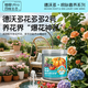 Dewoduohuaduoduo No. 2 flowering promotion 300g growth-promoting water-soluble fertilizer foliar fertilizer gardening flower green plant flower fertilizer