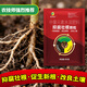 Jinhe Fengwo three-in-one anti-corrosion and root-strengthening granules, anti-root rot, root-promoting, seedling-strengthening and soil-improvement fertilizer 15 bags - a must-select for large growers