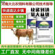 Henan Dabeinong 4 beef cattle premix rapid fattening, growth promotion, weight gain feed, promotion of rumination and anti-stress, one bag