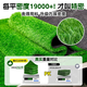 Simulated turf, artificial turf carpet, outdoor floor matting, football field artificial turf, plastic fake turf fence, Su Chao same style green backing adhesive, 3 cm thick, 18 stitches, 1 meter wide, several meters long, take a few pieces