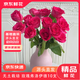 Jingdong Flowers Boutique Water-cultured Soilless Culture New Year's Eve Flowers Valentine's Day Rose Floyd 10 Pack 50CM Straight from the Source
