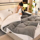 Fantasy thickened lamb velvet quilt double-sided velvet extra thick 10Jin Jin equals 0.5kg Winter quilt single student dormitory winter double quilt core quilt upgraded model white camel double-sided velvet 3 seconds quick heating 200x230 9Jin Jin equals 0.5kg thickened winter quilt