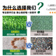 Duoxiu, artificial lawn carpet, plastic fake turf, artificial turf balcony, outdoor artificial turf, kindergarten fake turf, 2cm special grade raw material spring grass, 2 meters wide, take a few pieces to get a few meters, high grade