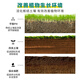 Soil Activator Loose soil, activate soil, prevent hardening, repair soil, promote plant root growth. Paiyifa 2 Soil Activator