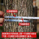 Stainless steel tree circumference ruler measuring tree diameter ruler household mini chest diameter ruler waist circumference ruler 2 meters tape measure steel circumference ruler painted carbon steel ruler belt