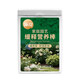 Guoguang Shiqi plant nutrition bar flower fertilizer slow-release fertilizer for household potted flowers nitrogen, phosphorus and potassium compound succulent fertilizer nutrition bar 1 box + bicloprid