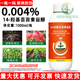 0.004% 14-Hydroxybrassinolide Lactosterol Pakchoi Growth Regulating Pesticide Plant Growth Regulator 1000ml