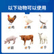 Zhonglong Shenli mad growth hormone cattle and sheep growth hormone premix pig, chicken and duck fattening growth promoter nutritional feed additive 1 bag