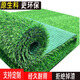 Duoxiu artificial lawn carpet plastic fake turf artificial turf balcony outdoor artificial turf kindergarten fake turf 20mm newly upgraded raw material 5A grade spring grass/50 square meters high grade