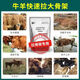 Veterinary calf skeleton growth king cattle and sheep fast growing feed additives lamb skeleton calf and sheep premix 2Jin Jin is equal to 0.5kg bag of pulled bone fast growth treasure 1 bag