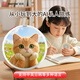 INNOTRIK AI spoken language training, one-on-one immersive English speaking practice in multiple scenarios, listening and reading tool Cat