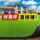 Simulated lawn carpet, artificial fake turf bedding, balcony kindergarten outdoor mat, plastic turf green space decoration, 2.0cm high-end model, export model, 1 square meter