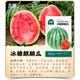 Northern Vegetable Kirin Watermelon Seed New Varieties Lazy Man Southern Meidu Watermelon Seed Rock Sugar Kirin Melon Seed 50 capsules + 1 bag of fertilizer