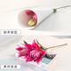 Exclusive for live broadcast, 10 Siberian single-petal lilies, 1 serving